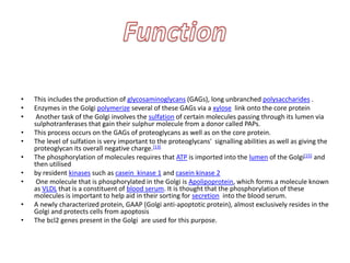 • This includes the production of glycosaminoglycans (GAGs), long unbranched polysaccharides .
• Enzymes in the Golgi polymerize several of these GAGs via a xylose link onto the core protein
• Another task of the Golgi involves the sulfation of certain molecules passing through its lumen via
sulphotranferases that gain their sulphur molecule from a donor called PAPs.
• This process occurs on the GAGs of proteoglycans as well as on the core protein.
• The level of sulfation is very important to the proteoglycans' signalling abilities as well as giving the
proteoglycan its overall negative charge.[13]
• The phosphorylation of molecules requires that ATP is imported into the lumen of the Golgi[15] and
then utilised
• by resident kinases such as casein kinase 1 and casein kinase 2
• One molecule that is phosphorylated in the Golgi is Apolipoprotein, which forms a molecule known
as VLDL that is a constituent of blood serum. It is thought that the phosphorylation of these
molecules is important to help aid in their sorting for secretion into the blood serum.
• A newly characterized protein, GAAP (Golgi anti-apoptotic protein), almost exclusively resides in the
Golgi and protects cells from apoptosis
• The bcl2 genes present in the Golgi are used for this purpose.
 