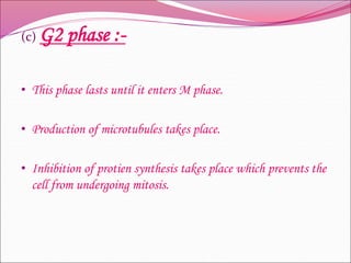 (c) G2 phase :-
• This phase lasts until it enters M phase.
• Production of microtubules takes place.
• Inhibition of protien synthesis takes place which prevents the
cell from undergoing mitosis.
 