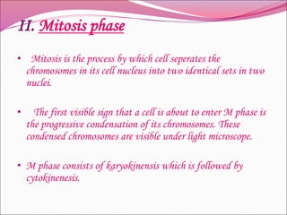 II. Mitosis phase
• Mitosis is the process by which cell seperates the
chromosomes in its cell nucleus into two identical sets in two
nuclei.
• The first visible sign that a cell is about to enter M phase is
the progressive condensation of its chromosomes. These
condensed chromosomes are visible under light microscope.
• M phase consists of karyokinensis which is followed by
cytokinenesis.
 