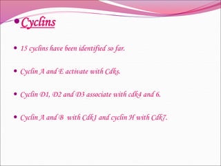 Cyclins
 15 cyclins have been identified so far.
 Cyclin A and E activate with Cdks.
 Cyclin D1, D2 and D3 associate with cdk4 and 6.
 Cyclin A and B with Cdk1 and cyclin H with Cdk7.
 