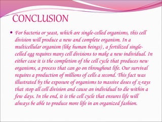 CONCLUSION
 For bacteria or yeast, which are single-celled organisms, this cell
division will produce a new and complete organism. In a
multicellular organism (like human beings) , a fertilized single-
celled egg requires many cell divisions to make a new individual. In
either case it is the completion of the cell cycle that produces new
organisms, a process that can go on throughout life. Our survival
requires a production of millions of cells a second. This fact was
illustrated by the exposure of organisms to massive doses of x-rays
that stop all cell division and cause an individual to die within a
few days. In the end, it is the cell cycle that ensures life will
always be able to produce more life in an organized fashion.
 