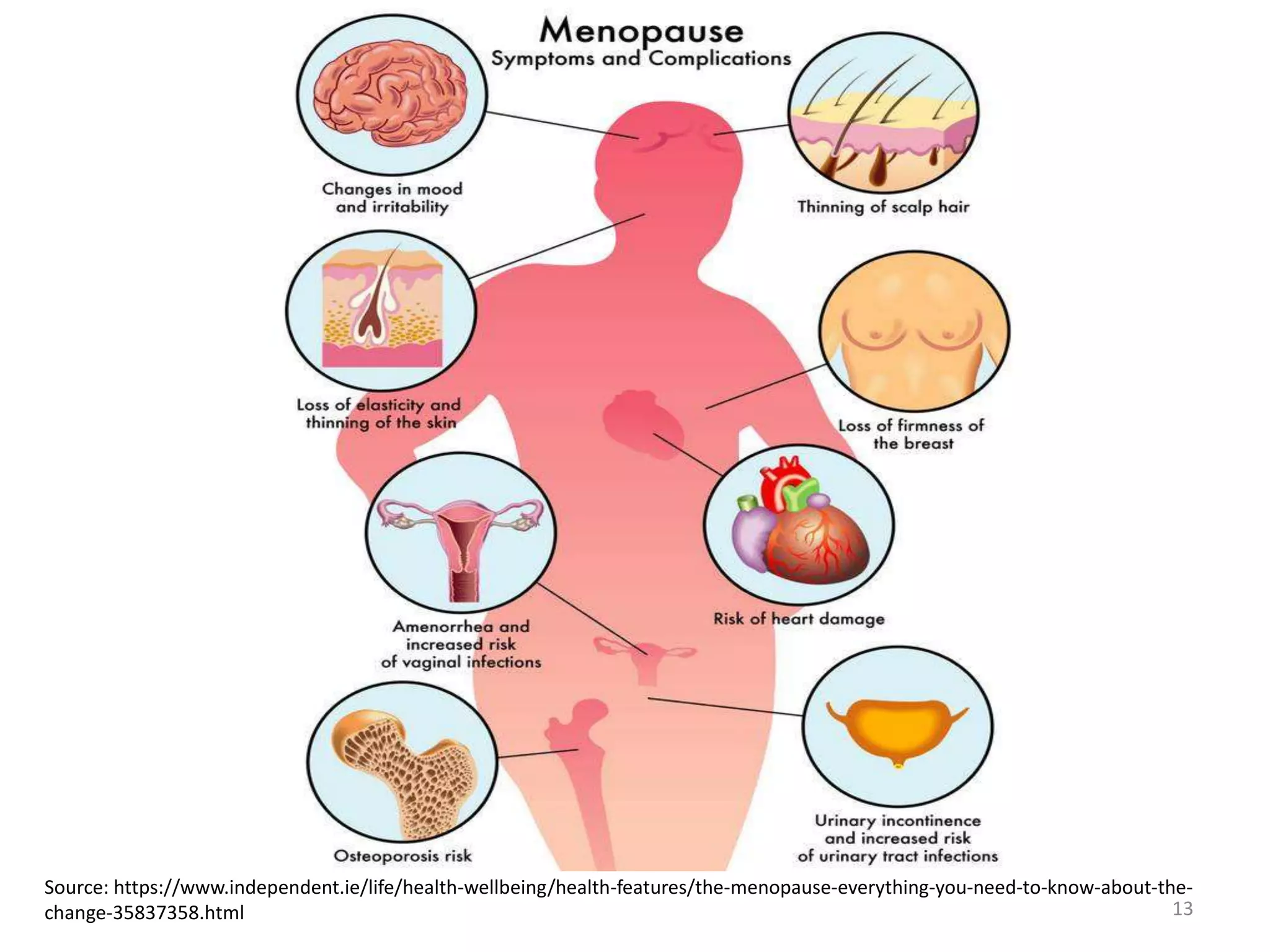 puberty-menopause-pptx