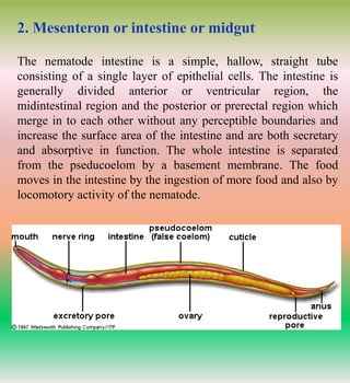 2. morphology, general characteristics and biology of plant pathogenic ...