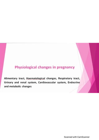 Physiological Changes In Pregnancy