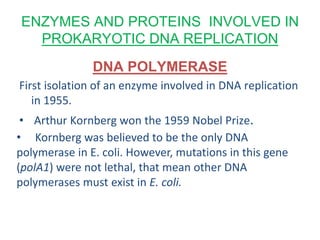 ENZYMES AND PROTEINS INVOLVED IN
PROKARYOTIC DNA REPLICATION
DNA POLYMERASE
First isolation of an enzyme involved in DNA replication
in 1955.
• Arthur Kornberg won the 1959 Nobel Prize.
• Kornberg was believed to be the only DNA
polymerase in E. coli. However, mutations in this gene
(polA1) were not lethal, that mean other DNA
polymerases must exist in E. coli.
 