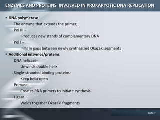 ENZYMES AND PROTEINS INVOLVED IN PROKARYOTIC DNA REPLICATION
 DNA polymerase
The enzyme that extends the primer;
Pol III –
Produces new stands of complementary DNA
Pol I –
Fills in gaps between newly synthesized Okazaki segments
 Additional enzymes/proteins
DNA helicase-
Unwinds double helix
Single-stranded binding proteins-
Keep helix open
Primase-
Creates RNA primers to initiate synthesis
Ligase-
Welds together Okazaki fragments
Slide 7
 