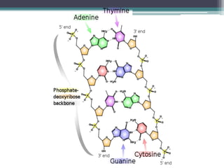 DNA damage, types by kk sahu | PPTX
