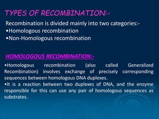 DNA repair and recombination | PPT