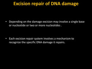 DNA repair by k sahu | PPTX
