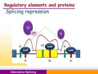 Pacific Networks Pacific NetworksAlternative Splicing
Regulatory elements and proteins
Splicing repression
 