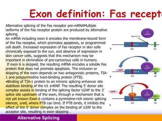 Pacific Networks Pacific NetworksAlternative Splicing
Exon definition: Fas recepto
Alternative splicing of the Fas receptor pre-mRNAMultiple
isoforms of the Fas receptor protein are produced by alternative
splicing.
An mRNA including exon 6 encodes the membrane-bound form
of the Fas receptor, which promotes apoptosis, or programmed
cell death. Increased expression of Fas receptor in skin cells
chronically exposed to the sun, and absence of expression in
skin cancer cells, suggests that this mechanism may be
important in elimination of pre-cancerous cells in humans.
If exon 6 is skipped, the resulting mRNA encodes a soluble Fas
protein that does not promote apoptosis. The inclusion or
skipping of the exon depends on two antagonistic proteins, TIA-
1 and polypyrimidine tract-binding protein (PTB).
•Binding of TIA-1 protein to an intronic splicing enhancer site
stabilizes binding of the U1 snRNP. The resulting 5' donor site
complex assists in binding of the splicing factor U2AF to the 3'
splice site upstream of the exon, through a mechanism that is
not yet known Exon 6 contains a pyrimidine-rich exonic splicing
silencer, ure6, where PTB can bind. If PTB binds, it inhibits the
effect of the 5' donor complex on the binding of U2AF to the
acceptor site, resulting in exon skipping .
 