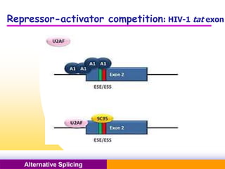 Pacific Networks Pacific NetworksAlternative Splicing
Repressor-activator competition: HIV-1 tat exon
 