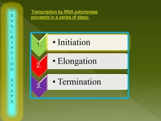 RNA polymerase and transcription factor | PPTX