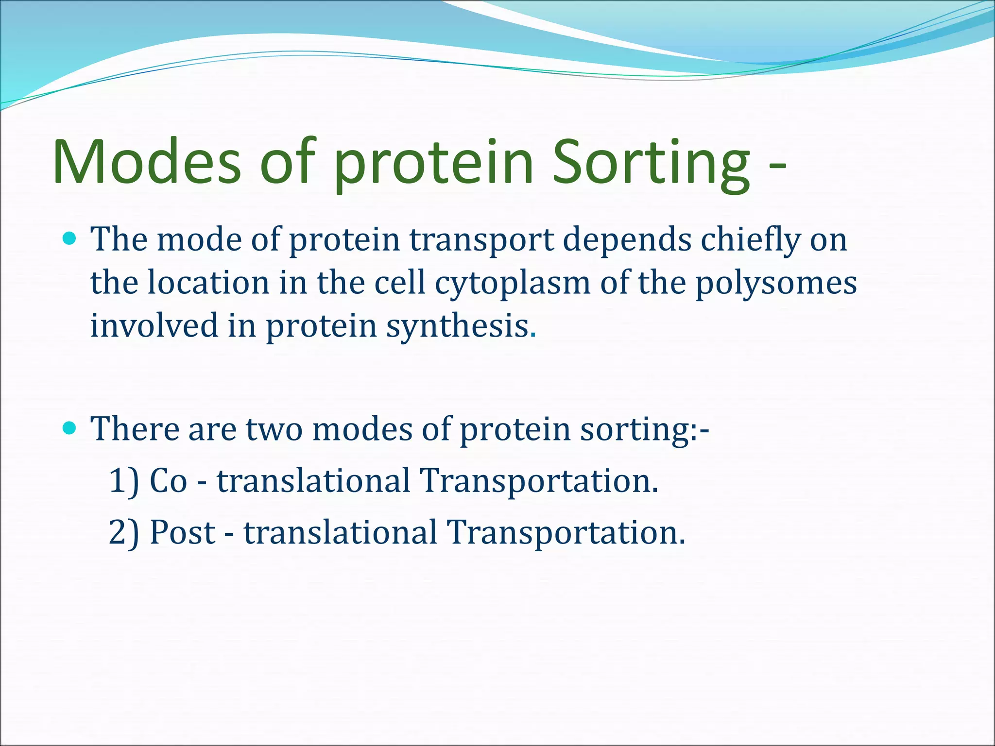 Modes of protein Sorting -
 The mode of protein transport depends chiefly on
the location in the cell cytoplasm of the polysomes
involved in protein synthesis.
 There are two modes of protein sorting:-
1) Co - translational Transportation.
2) Post - translational Transportation.
 