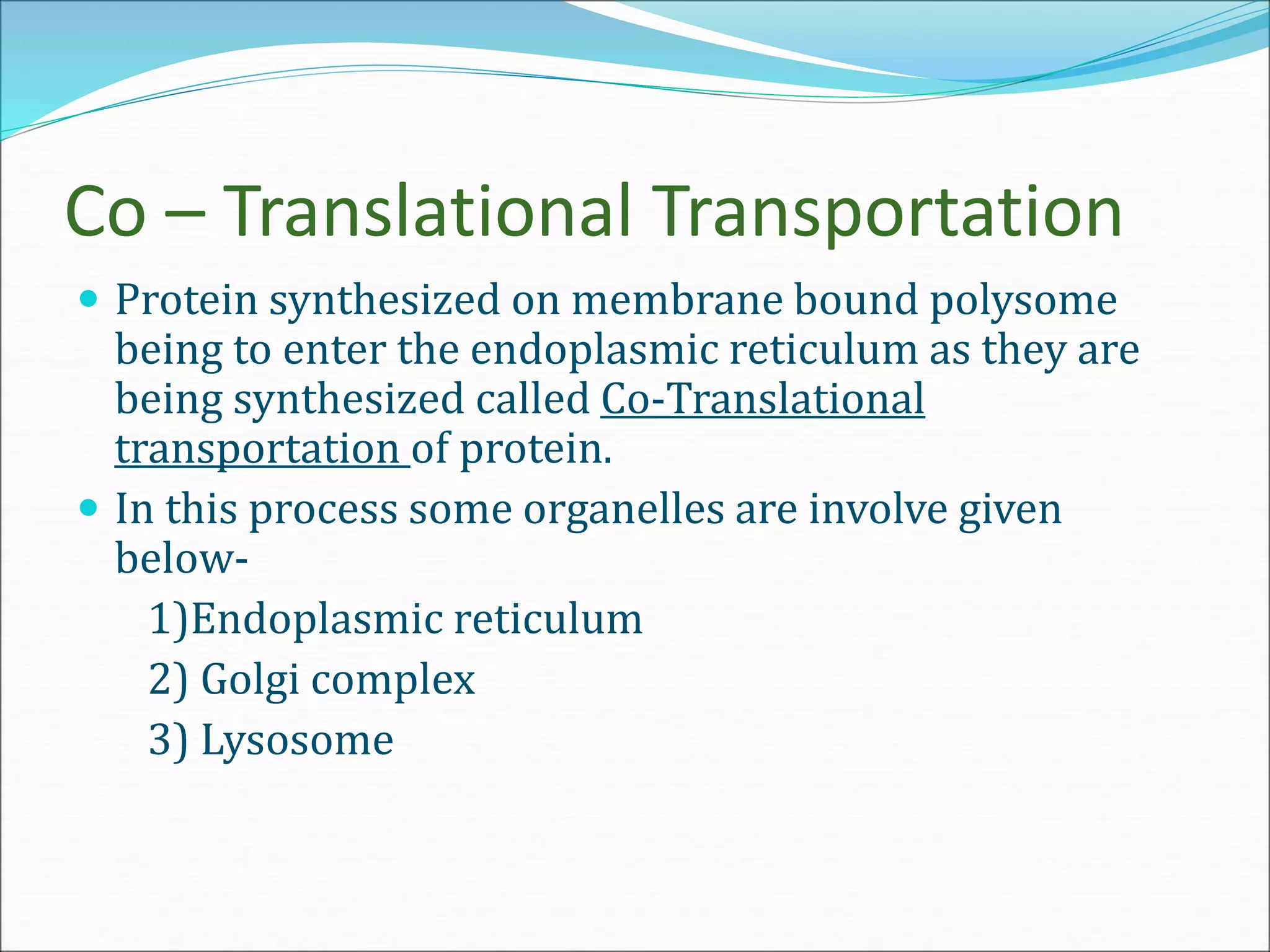 Co – Translational Transportation
 Protein synthesized on membrane bound polysome
being to enter the endoplasmic reticulum as they are
being synthesized called Co-Translational
transportation of protein.
 In this process some organelles are involve given
below-
1)Endoplasmic reticulum
2) Golgi complex
3) Lysosome
 