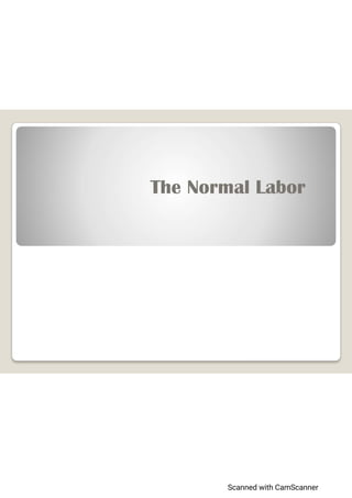 The Normal Labor