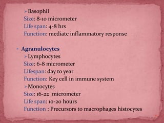 Basophil
Size: 8-10 micrometer
Life span: 4-8 hrs
Function: mediate inflammatory response
 Agranulocytes
Lymphocytes
Size: 6-8 micrometer
Lifespan: day to year
Function: Key cell in immune system
Monocytes
Size: 16-22 micrometer
Life span: 10-20 hours
Function : Precursors to macrophages histocytes
11
 
