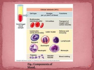 15
Fig.: Components of
blood.
 