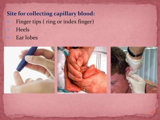 Site for collecting capillary blood:
 Finger tips ( ring or index finger)
 Heels
 Ear lobes
18
 