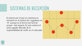 SISTEMASDERECEPCIÓN
El sistema por el que se comienza en
iniciación es el sistema de 5 jugadores en
“W”, porque es la forma mas facil de
ocupar más espacio. En este sistema el
único jugador liberado de la
responsabilidad de recibir es el colocador.
V
 