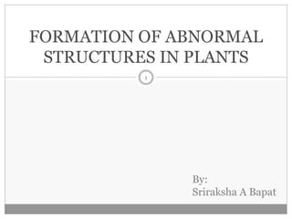 FORMATION OF ABNORMAL
STRUCTURES IN PLANTS
1
By:
Sriraksha A Bapat
 