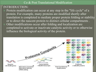 co and post translation modification | PPT