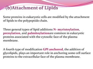 Some proteins in eukaryotic cells are modified by the attachment
of lipids to the polypeptide chain.
Three general types of lipid additions N- myristoylation,
prenylation, and palmitoylationare common in eukaryotic
proteins associated with the cytosolic face of the plasma
membrane.
A fourth type of modification GPI anchored, the addition of
glycolipids, plays an important role in anchoring some cell surface
proteins to the extracellular face of the plasma membrane.
 