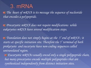 The heart of mRNA is its message the sequence of nucleotide
that encodes a polypeptide.
Procaryotic mRNA does not require modifications while
eukaryotes mRNA have several modifiication steps.
Translation does not simply begins at the 5’ end of mRNA ; it
starts at specific initiation site. Therefore the 5’ terminal of both
prokaryote and eucaryote have non-coding sequences called
untranslated region.
Eucaryotic mRNAs usually encod only a single polypeptide chain,
but many procaryotes encode multiple polypeptides that are
synthesiized independently from distinct initiation sites.
 