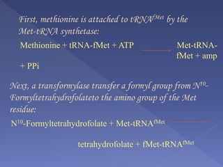 First, methionine is attached to tRNAfMet by the
Met-tRNA synthetase:
Methionine + tRNA-fMet + ATP Met-tRNA-
fMet + amp
+ PPi
Next, a transformylase transfer a formyl group from N10_
Formyltetrahydrofolateto the amino group of the Met
residue:
N10-Formyltetrahydrofolate + Met-tRNAfMet
tetrahydrofolate + fMet-tRNAfMet
 