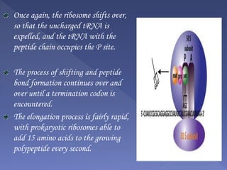 Once again, the ribosome shifts over,
so that the uncharged tRNA is
expelled, and the tRNA with the
peptide chain occupies the P site.
The process of shifting and peptide
bond formation continues over and
over until a termination codon is
encountered.
The elongation process is fairly rapid,
with prokaryotic ribosomes able to
add 15 amino acids to the growing
polypeptide every second.
 