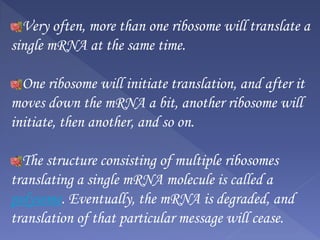 Very often, more than one ribosome will translate a
single mRNA at the same time.
One ribosome will initiate translation, and after it
moves down the mRNA a bit, another ribosome will
initiate, then another, and so on.
The structure consisting of multiple ribosomes
translating a single mRNA molecule is called a
polysome. Eventually, the mRNA is degraded, and
translation of that particular message will cease.
 