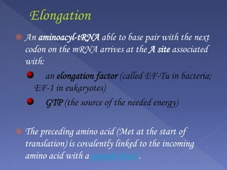  An aminoacyl-tRNA able to base pair with the next
codon on the mRNA arrives at the A site associated
with:
an elongation factor (called EF-Tu in bacteria;
EF-1 in eukaryotes)
GTP (the source of the needed energy)
 The preceding amino acid (Met at the start of
translation) is covalently linked to the incoming
amino acid with a peptide bond .
 