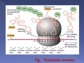 Fig. Translation overview
 