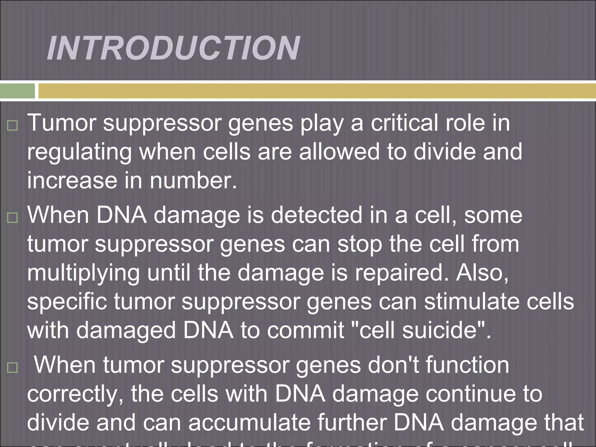 tumor suppressor gene by | PPT
