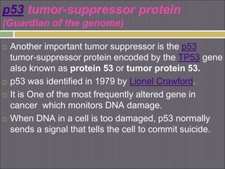 tumor suppressor gene by | PPT