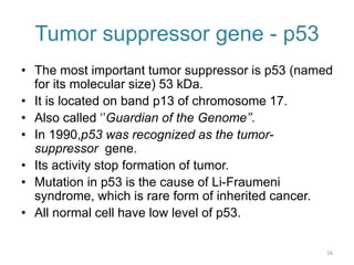 tumor suppressor gene, prb, p53 gene | PPTX
