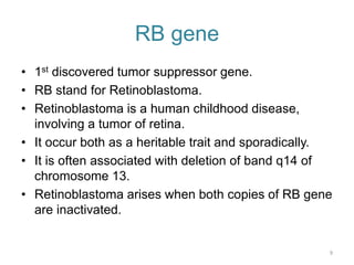 tumor suppressor gene, prb, p53 gene | PPTX