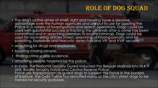 ROLE OF DOG SQUAD
• The dog's active sense of smell, sight and hearing have a decisive
advantage over the human agencies and are put to use for assisting the
Police in a variety of investigations and search operations. Dogs could be
used with substantial success in tracking the criminals after a crime has been
committed and in searching premises to locate criminals. Dogs could be
used for recovering articles stolen, searching of missing persons and for
patrolling, Explosives and Narcotic detection and VIP and VVIP security.
• searching for drugs and explosives.
• locating missing people.
• finding crime scene evidence.
• attacking people targeted by the police.
• In India, the National Security Guard inducted the Belgian Malinois into its K-9
Unit, Border Security Force and Central Reserve Police
Force use Rajapalayam as guard dogs to support the Force in the borders
of Kashmir. The Delhi Police has recruited many of the city's street dogs to be
trained for security purposes.
 