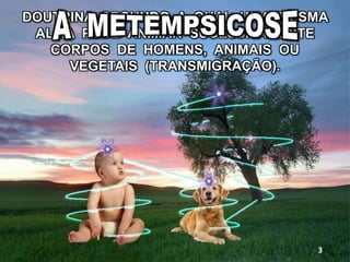 DOUTRINA SEGUNDO A QUAL UMA MESMA
ALMA PODE ANIMAR SUCESSIVAMENTE
CORPOS DE HOMENS, ANIMAIS OU
VEGETAIS (TRANSMIGRAÇÃO).
3
 