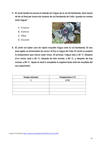 11
5. El Jordi també ha provat el mètode de l’aigua de la col de llombarda. Què hauria
de fer al final per treure els trossos de col llombarda de l’olla i quedar-se només
amb l’aigua?
A. Evaporar
B. Destil·lar
C. Filtrar
D. Decantar
6. El Jordi vol saber com de ràpid s’escalfa l’aigua amb la col llombarda. El seu
pare agafa un termòmetre de cuina i el fica a l’aigua de l’olla. El Jordi va anotant
la temperatura que marca cada minut. Al principi, l’aigua està a 20 C. Després
d’un minut, està a 40 C; després de dos minuts, a 60 C; y després de tres
minuts, a 80 C. Ajuda al Jordi a completar la següent taula amb els resultats del
seu experiment.
Temps (minuts) Temperatura (C)
0 20C
Imatge Col llombarda: https://commons.wikimedia.org/wiki/File:Cavolo_blu.JPG
 