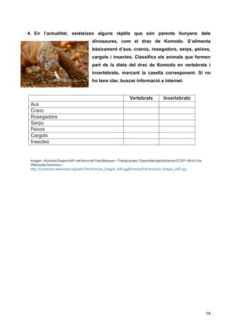 14
4. En l’actualitat, existeixen alguns rèptils que són parents llunyans dels
dinosaures, com el drac de Komodo. S’alimenta
bàsicament d’aus, crancs, rosegadors, serps, peixos,
cargols i insectes. Classifica els animals que formen
part de la dieta del drac de Komodo en vertebrats i
invertebrats, marcant la casella corresponent. Si no
ho tens clar, buscar informació a internet.
Vertebrats Invertebrats
Aus
Cranc
Rosegadors
Serps
Peixos
Cargols
Insectes
Imagen: «KomodoDragonAdF»deArturodeFriasMarques−Trabajopropio.Disponiblebajolalicencia CCBY−SA4.0vía
WikimediaCommons−
http:ƒƒcommons.wikimedia.orgƒwikiƒFile:Komodo_Dragon_AdF.jpg#ƒmediaƒFile:Komodo_Dragon_AdF.jpg
 