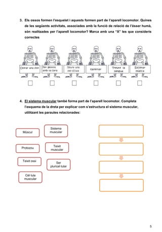 5
3. Els ossos formen l’esquelet i aquests formen part de l’aparell locomotor. Quines
de les següents activitats, associades amb la funció de relació de l’ésser humà,
són realitzades per l’aparell locomotor? Marca amb una “X” les que consideris
correctes
4. El sistema muscular també forma part de l’aparell locomotor. Completa
l’esquema de la dreta per explicar com s’estructura el sistema muscular,
utilitzant les paraules relacionades:
Múscul
Sistema
muscular
Protozou
Teixit
muscular
Teixit ossi
Ser
pluricel·lular
Cèl·lula
muscular
 