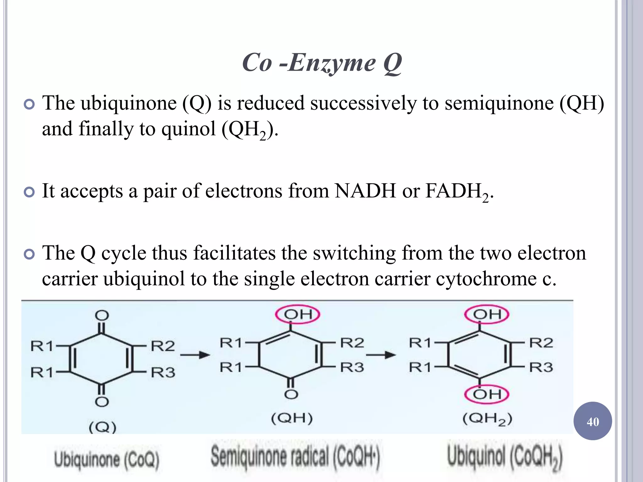 Biological oxidation and etc | PPTX