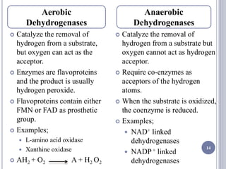 14
 Catalyze the removal of
hydrogen from a substrate,
but oxygen can act as the
acceptor.
 Enzymes are flavoproteins
and the product is usually
hydrogen peroxide.
 Flavoproteins contain either
FMN or FAD as prosthetic
group.
 Examples;
 L-amino acid oxidase
 Xanthine oxidase
 AH2 + O2 A + H2 O2
 Catalyze the removal of
hydrogen from a substrate but
oxygen cannot act as hydrogen
acceptor.
 Require co-enzymes as
acceptors of the hydrogen
atoms.
 When the substrate is oxidized,
the coenzyme is reduced.
 Examples;
 NAD+ linked
dehydrogenases
 NADP+ linked
dehydrogenases
Aerobic
Dehydrogenases
Anaerobic
Dehydrogenases
 