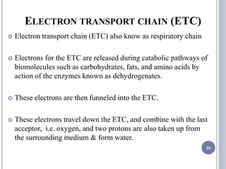 ELECTRON TRANSPORT CHAIN (ETC)
 Electron transport chain (ETC) also know as respiratory chain
 Electrons for the ETC are released during catabolic pathways of
biomolecules such as carbohydrates, fats, and amino acids by
action of the enzymes known as dehydrogenates.
 These electrons are then funneled into the ETC.
 These electrons travel down the ETC, and combine with the last
acceptor, i.e. oxygen, and two protons are also taken up from
the surrounding medium & form water.
26
 