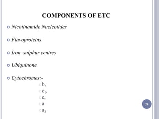 COMPONENTS OF ETC
 Nicotinamide Nucleotides
 Flavoproteins
 Iron–sulphur centres
 Ubiquinone
 Cytochromes:-
b,
c1,
c,
a
a3
28
 