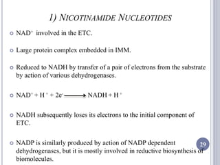 1) NICOTINAMIDE NUCLEOTIDES
 NAD+ involved in the ETC.
 Large protein complex embedded in IMM.
 Reduced to NADH by transfer of a pair of electrons from the substrate
by action of various dehydrogenases.
 NAD+ + H + + 2e- NADH + H +
 NADH subsequently loses its electrons to the initial component of
ETC.
 NADP is similarly produced by action of NADP dependent
dehydrogenases, but it is mostly involved in reductive biosynthesis of
biomolecules.
29
 
