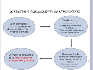 STRUCTURAL ORGANIZATION OF COMPONENTS
35
 