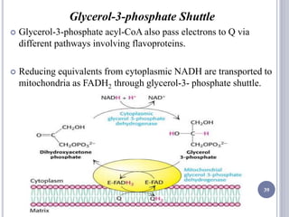 Glycerol-3-phosphate Shuttle
 Glycerol-3-phosphate acyl-CoA also pass electrons to Q via
different pathways involving flavoproteins.
 Reducing equivalents from cytoplasmic NADH are transported to
mitochondria as FADH2 through glycerol-3- phosphate shuttle.
39
 