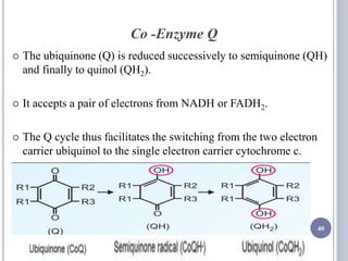 Co -Enzyme Q
 The ubiquinone (Q) is reduced successively to semiquinone (QH)
and finally to quinol (QH2).
 It accepts a pair of electrons from NADH or FADH2.
 The Q cycle thus facilitates the switching from the two electron
carrier ubiquinol to the single electron carrier cytochrome c.
40
 